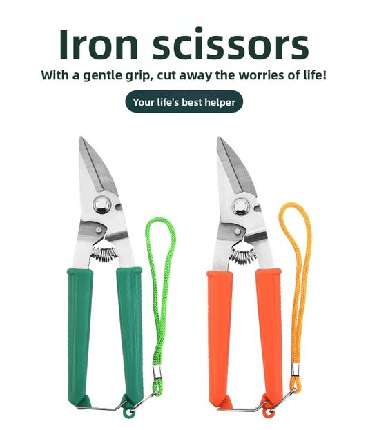 tainless Steel Pruning Shears for Garden and Fruit Tree Branches