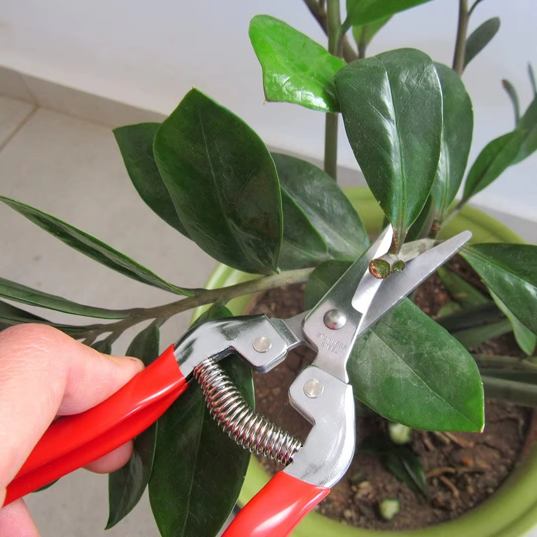 Professional Sharp Bypass Pruning Shears