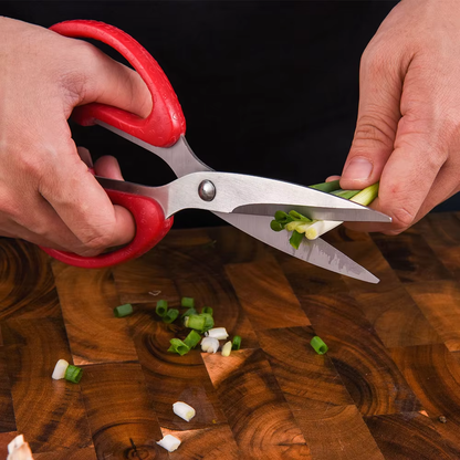 Stainless Steel Shears Kitchen Scissor for Family
