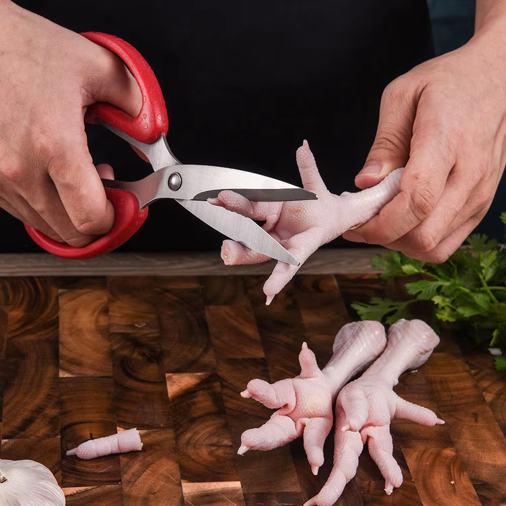 Stainless Steel Shears Kitchen Scissor for Family