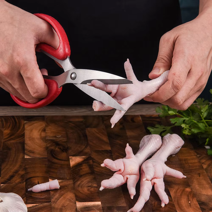 Stainless Steel Shears Kitchen Scissor for Family