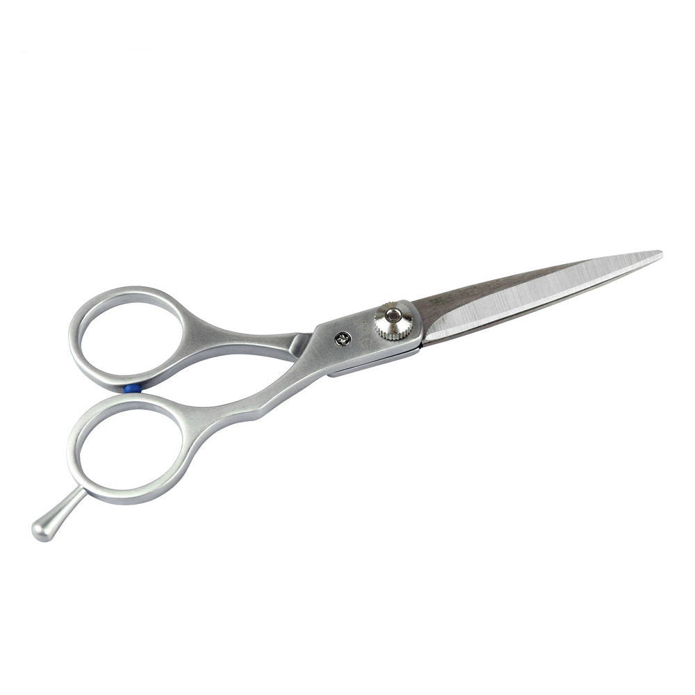 Stainless Steel Hair Scissors